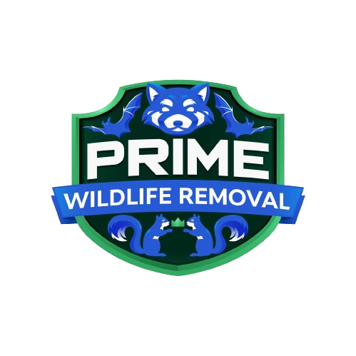 Wildlife Removal Burtchville Township